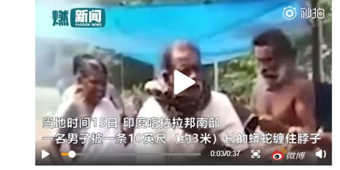 印度男子欲营救3米长蟒蛇 不料遭蛇瞬间“锁喉”