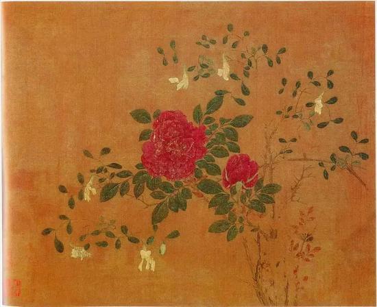↑图为黄居寀《花卉写生图册》里的重瓣月季花。(图片来自网络)