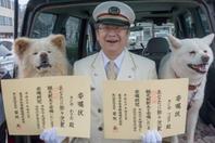 日本秋田犬连任火车站站长