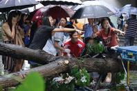 树倒砸中路人：女学生赤脚抬树救人 有人跪地为伤者撑伞