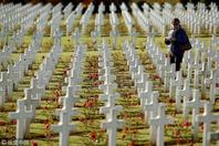 法国迎来一战结束百年纪念 阵亡士兵墓前插满鲜花