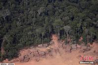 航拍亚马逊雨林遭砍伐景象