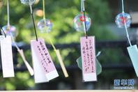 日本东京：疫情中的夏日风铃展