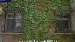 周有光：上帝把我忘了