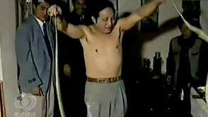 我眼中的“大师”王林