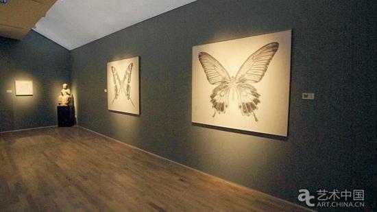 张艺蓉个展展厅