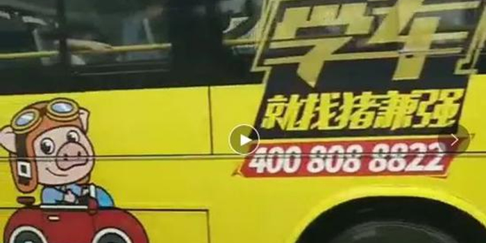 3.8亿做营销的猪兼强 工资发不出总部人去楼空