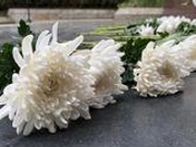 致敬公安英雄 2017年361名牺牲民警名单