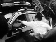 游客“偷香蕉”引冲突 当事人疑发文称无意冒犯