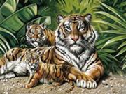 福州动物园一只老虎训练时兽性突发 咬死驯兽师