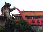 广西熊虎山庄饲养员被老虎咬死 事发前在打扫卫生