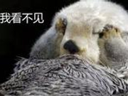 这张在中山大学拍的照片 给蔡英文一记响亮耳光