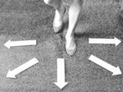 台人才“用脚投票” 六成年轻人愿赴大陆求学就业