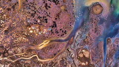 2018欧洲野外生态摄影大赛