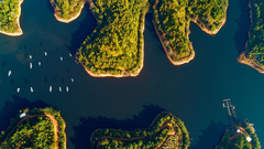 你好世界周选80期