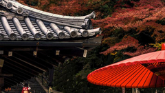 “你好，世界”周选第82期