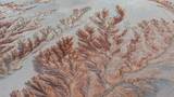 内蒙古巴彦淖尔“大地之树” 展现大自然纹理沟壑
