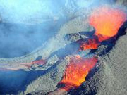 中国驻法属留尼汪总领馆提醒公民近期注意防范登革热