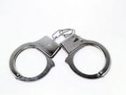 “鹦鹉案”案引争议：男子未对社会造成危害 量刑过重