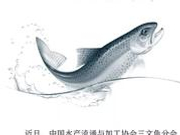 虹鳟C位出道 它和三文鱼到底是不是一家子(图)