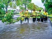 江苏徐州暴雨已致1死9伤 500余户房屋受损严重