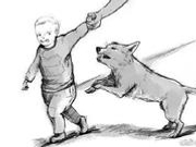 男童被狗咬13天后去世:为何打疫苗都没防住狂犬病