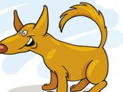 “狗主人”：咬人黄狗系流浪狗 自己只是曾喂养过