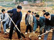 福建福州篇|习近平带着我们“马上就办”