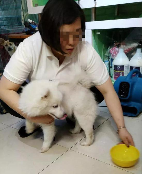 “菲妥妥”的狗在宠物店里。实习生张一川 摄