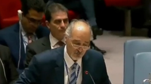 叙代表安理会发言