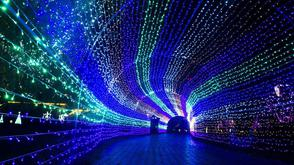 穿越“时光隧道” 见证40年