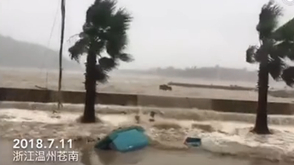 温州苍南已是一片泽洋