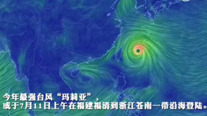 15秒带你看清玛莉亚