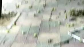 狂风过后福州满地芒果