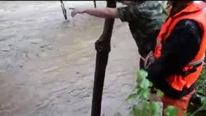 女司机被困紧抱大树