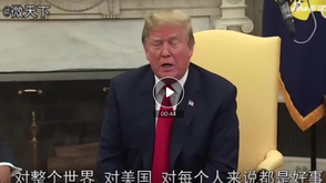 特朗普：我可能会和普京谈谈叙利亚、乌克兰问题