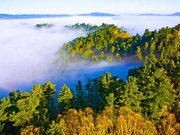 “林都”伊春：对待生态如生命