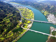 向阳花木易为春 绿色发展之“木”的故事