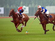 相距两万公里的体育情缘