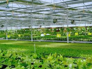 【新春走基层】人和家顺事事兴