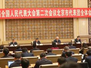 全国人大北京团审议政府工作报告 蔡奇陈吉宁李伟参加审议