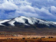 世界屋脊的新生 人类解放的丰碑