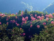 清明出门旅游 忙于“打卡”不如来点文化