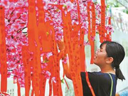 圆明园办“七夕巧市” 市民体验仿古游戏