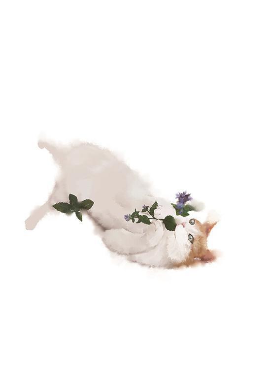 猫酒 陈阳 绘