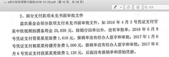 △ e农计划邓飞离任专项审计报告截图