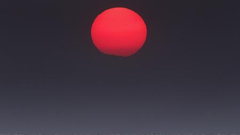 2016第100届普利策奖