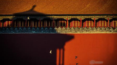 2017微博摄影大赛：镜中天地