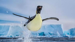 第七届哈姆丹国际摄影奖