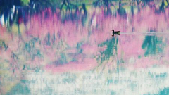 “烂漫春意”入选作品展